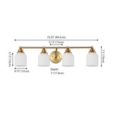 Berkley Iron/Frosted Glass Farmhouse Cottage LED Vanity Light