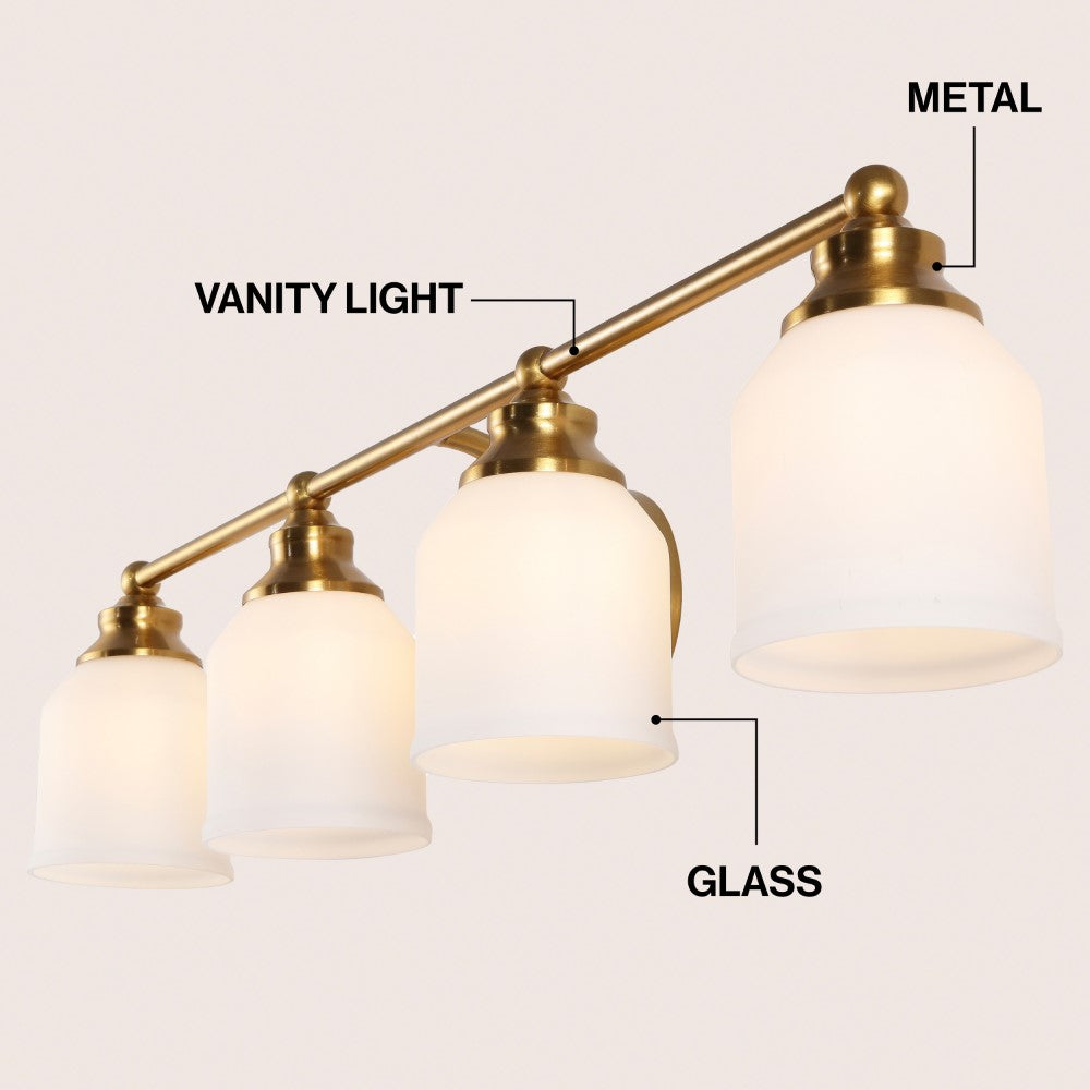 Berkley Iron/Frosted Glass Farmhouse Cottage LED Vanity Light