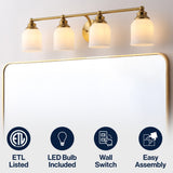 Berkley Iron/Frosted Glass Farmhouse Cottage LED Vanity Light