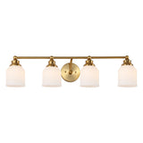 Berkley Iron/Frosted Glass Farmhouse Cottage LED Vanity Light