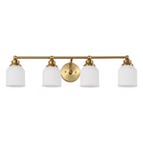 Berkley Iron/Frosted Glass Farmhouse Cottage LED Vanity Light