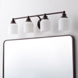 Berkley Iron/Frosted Glass Farmhouse Cottage LED Vanity Light