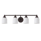 Berkley Iron/Frosted Glass Farmhouse Cottage LED Vanity Light
