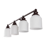 Berkley Iron/Frosted Glass Farmhouse Cottage LED Vanity Light