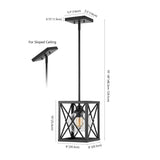 Darwin 8" Industrial Farmhouse Iron/Glass LED Pendant