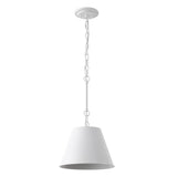 Alden Industrial Farmhouse Iron LED Pendant