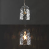 Haleigh 10" Industrial Designer Iron/Dimple Glass Dome LED Pendant