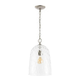 Haleigh 10" Industrial Designer Iron/Dimple Glass Dome LED Pendant
