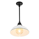 Antique 12.25" Farmhouse Industrial Indoor/Outdoor Iron LED Pendant