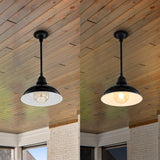 Antique 12.25" Farmhouse Industrial Indoor/Outdoor Iron LED Pendant