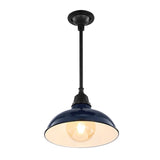 Antique 12.25" Farmhouse Industrial Indoor/Outdoor Iron LED Pendant