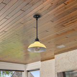 Antique 12.25" Farmhouse Industrial Indoor/Outdoor Iron LED Pendant