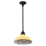 Antique 12.25" Farmhouse Industrial Indoor/Outdoor Iron LED Pendant
