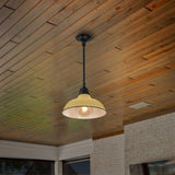 Antique 12.25" Farmhouse Industrial Indoor/Outdoor Iron LED Pendant