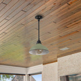 Antique 12.25" Farmhouse Industrial Indoor/Outdoor Iron LED Pendant