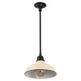 Antique 12.25" Farmhouse Industrial Indoor/Outdoor Iron LED Pendant