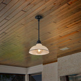 Antique 12.25" Farmhouse Industrial Indoor/Outdoor Iron LED Pendant
