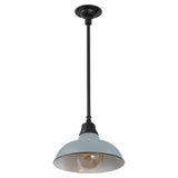 Antique 12.25" Farmhouse Industrial Indoor/Outdoor Iron LED Pendant