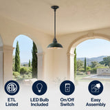 Antique 12.25" Farmhouse Industrial Indoor/Outdoor Iron LED Pendant