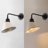 Croydon 9.63"  Farmhouse Industrial Indoor/Outdoor Iron LED Gooseneck Arm Outdoor Sconce
