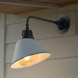 Croydon 9.63"  Farmhouse Industrial Indoor/Outdoor Iron LED Gooseneck Arm Outdoor Sconce