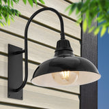 Carson 12.25" Farmhouse Industrial Indoor/Outdoor Iron LED Gooseneck Arm Outdoor Sconce