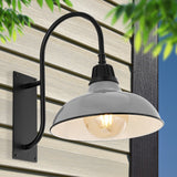 Carson 12.25" Farmhouse Industrial Indoor/Outdoor Iron LED Gooseneck Arm Outdoor Sconce