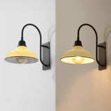 Carson 12.25" Farmhouse Industrial Indoor/Outdoor Iron LED Gooseneck Arm Outdoor Sconce