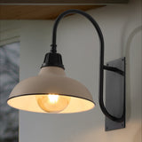 Carson 12.25" Farmhouse Industrial Indoor/Outdoor Iron LED Gooseneck Arm Outdoor Sconce