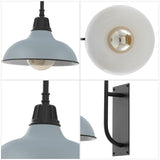 Carson 12.25" Farmhouse Industrial Indoor/Outdoor Iron LED Gooseneck Arm Outdoor Sconce