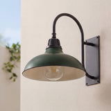 Carson 12.25" Farmhouse Industrial Indoor/Outdoor Iron LED Gooseneck Arm Outdoor Sconce