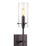 Rose Goat Bohemian Farmhouse Iron/Glass LED Vanity