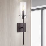 Rose Goat Bohemian Farmhouse Iron/Glass LED Vanity