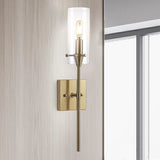 Rose Goat Bohemian Farmhouse Iron/Glass LED Vanity