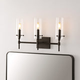 Rose Goat Bohemian Farmhouse Iron/Glass LED Vanity