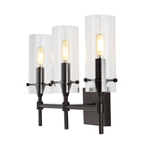 Rose Goat Bohemian Farmhouse Iron/Glass LED Vanity
