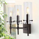 Rose Goat Bohemian Farmhouse Iron/Glass LED Vanity