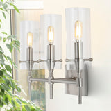 Rose Goat Bohemian Farmhouse Iron/Glass LED Vanity