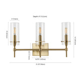 Rose Goat Bohemian Farmhouse Iron/Glass LED Vanity