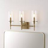 Rose Goat Bohemian Farmhouse Iron/Glass LED Vanity