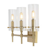 Rose Goat Bohemian Farmhouse Iron/Glass LED Vanity