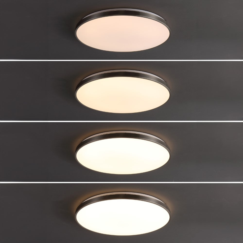Elgin 21.25" Modern Minimalist Iron Circle Integrated LED Flush Mount