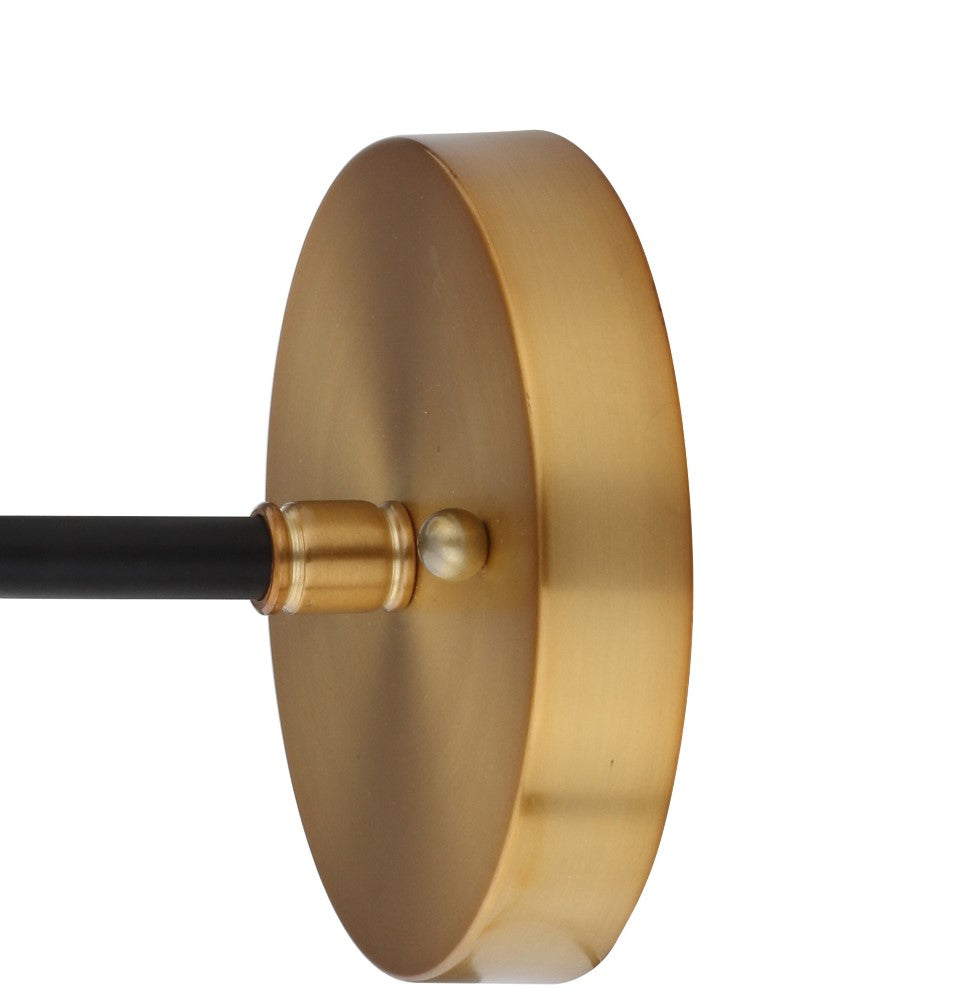 Iris Brass Vanity Wall Sconce Clear