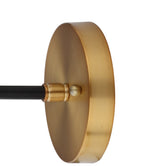 Iris Brass Vanity Wall Sconce Clear