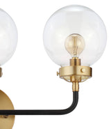 Iris Brass Vanity Wall Sconce Clear
