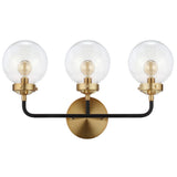 Iris Brass Vanity Wall Sconce Clear