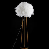 Rosy 52" Feather Metal LED Floor Lamp