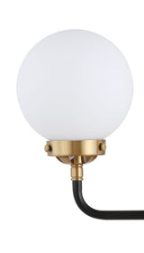 Iris Brass Vanity Wall Sconce Frosted