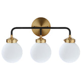 Iris Brass Vanity Wall Sconce Frosted