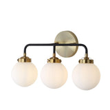 Iris Brass Vanity Wall Sconce Frosted